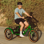 Grateful Dead Boca Rev Electric Tricycle — photo 2