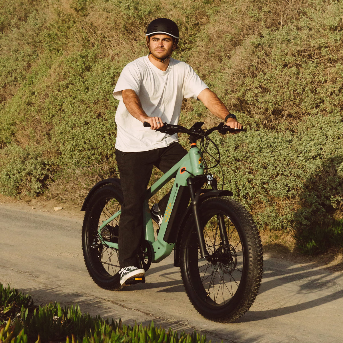 Grateful Dead Koa Rev+ 2 Fat Tire Electric Bike — photo 2