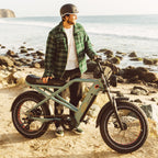 Grateful Dead Valen Rev+ Fat Tire Electric Bike — photo 2