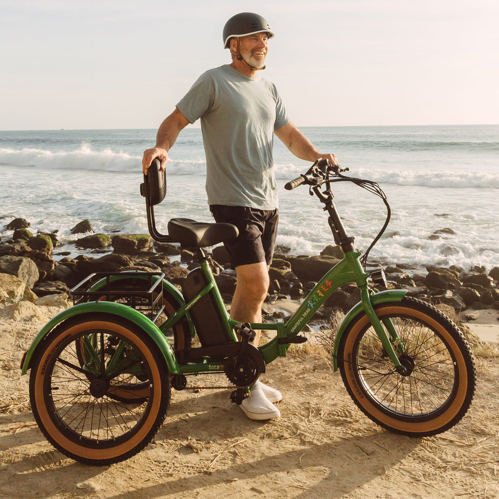 Grateful Dead Boca Rev Electric Tricycle — photo 4