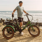 Grateful Dead Boca Rev Electric Tricycle — photo 4