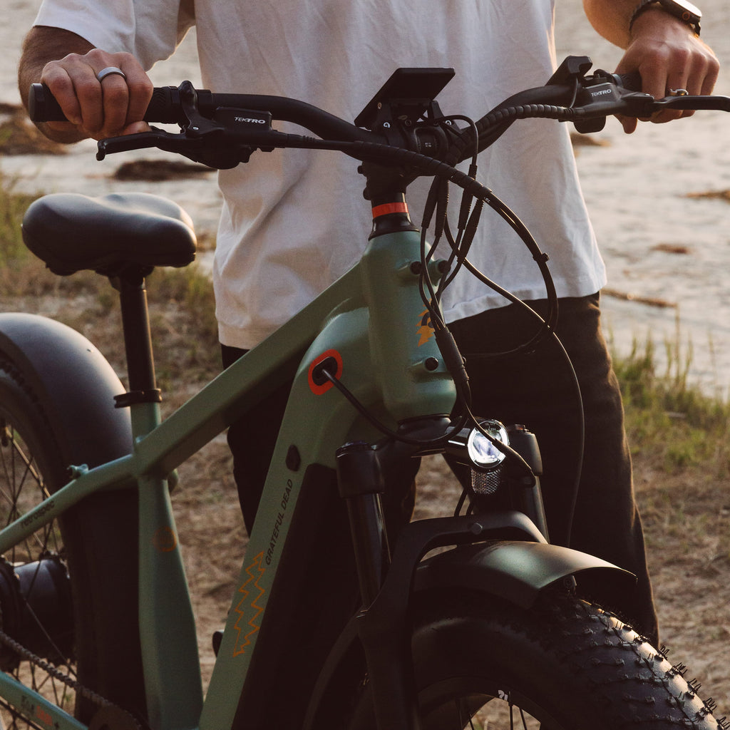Grateful Dead Koa Rev+ 2 Fat Tire Electric Bike — photo 6