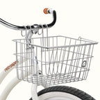 Apollo Lite Basket