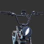 Grateful Dead Valen Rev+ Fat Tire Electric Bike — photo 6