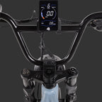 Grateful Dead Valen Rev+ Fat Tire Electric Bike — photo 8