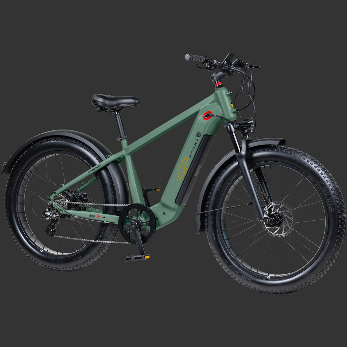 Grateful Dead Koa Rev+ 2 Fat Tire Electric Bike — photo 3