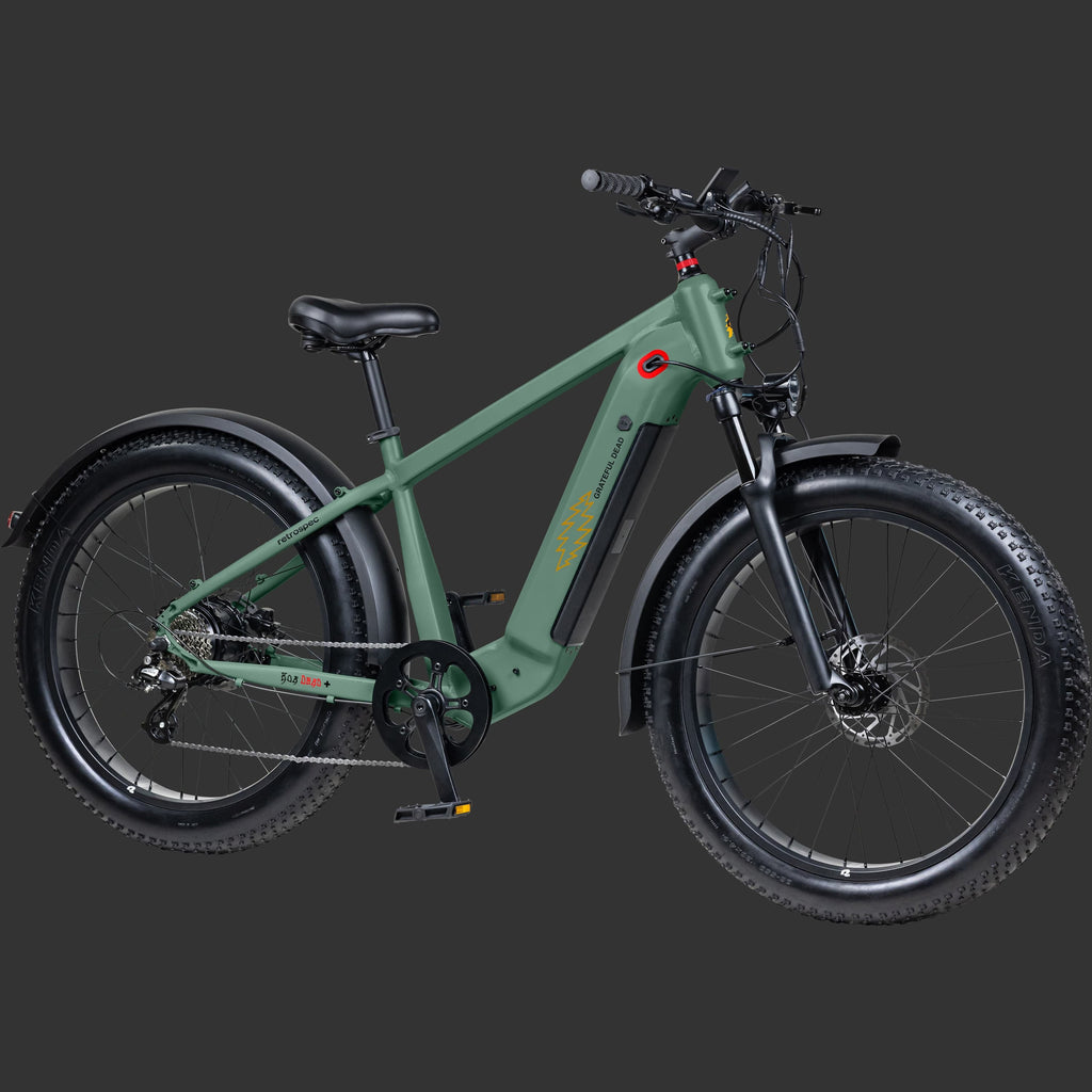 Koa Rev+ 2 Fat Tire Electric Bike — photo 8