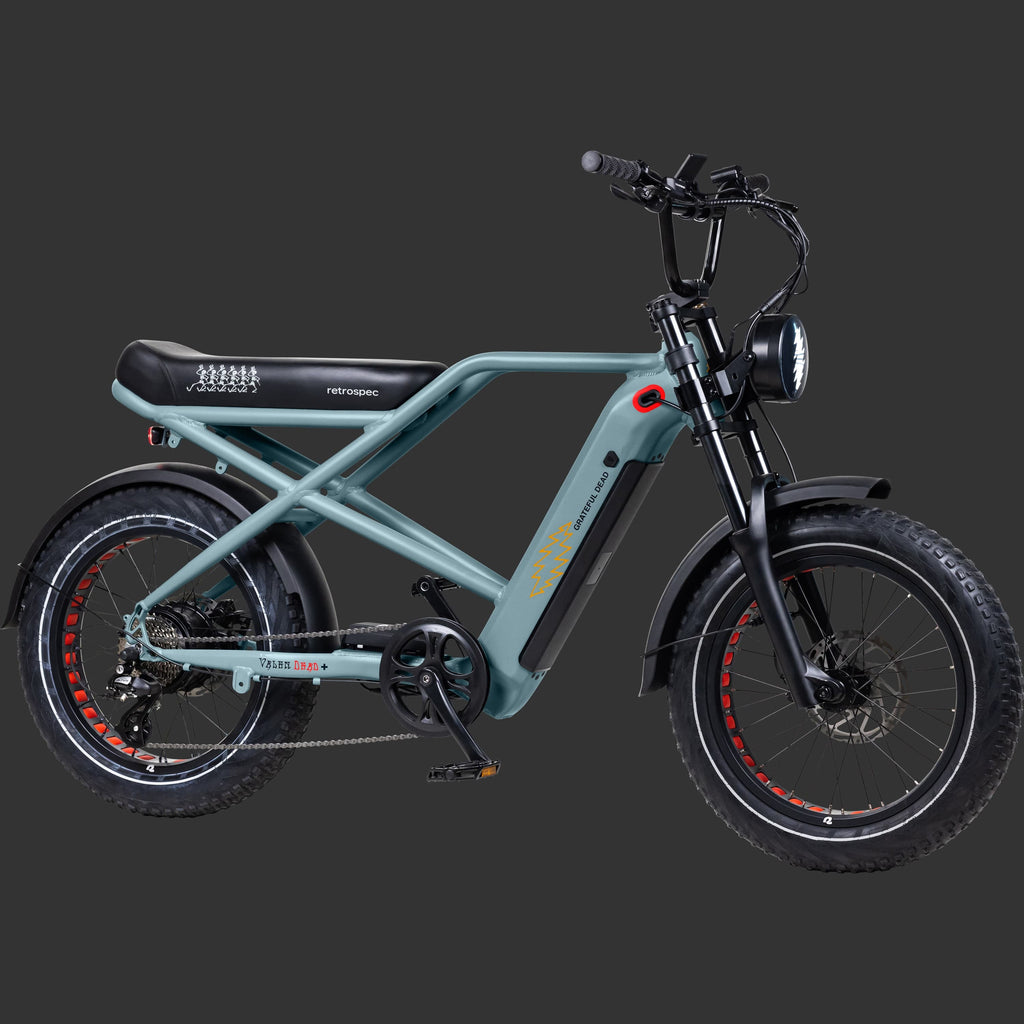 Grateful Dead Valen Rev+ Fat Tire Electric Bike — photo 3