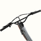 Joe Rev BMX Electric Bike — photo 4
