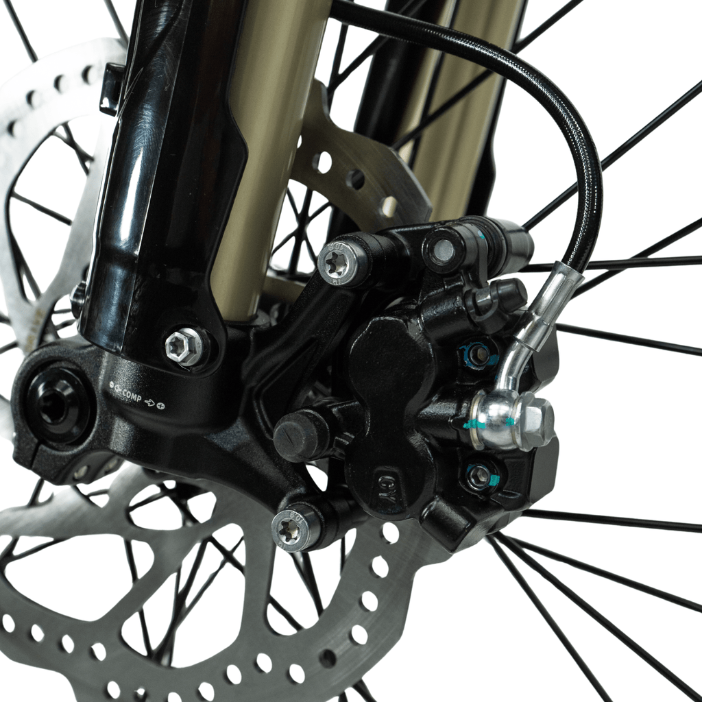 Arctic Leopard XE Pro R Electric Enduro Bike, view 5